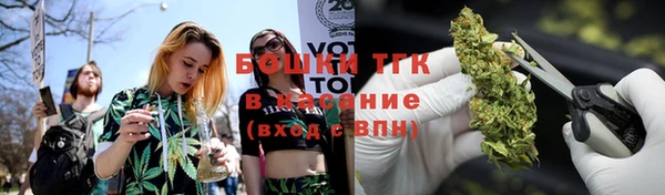 бошки Елабуга