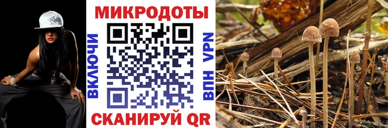 Галлюциногенные грибы прущие грибы  Купить  Заозёрск 
